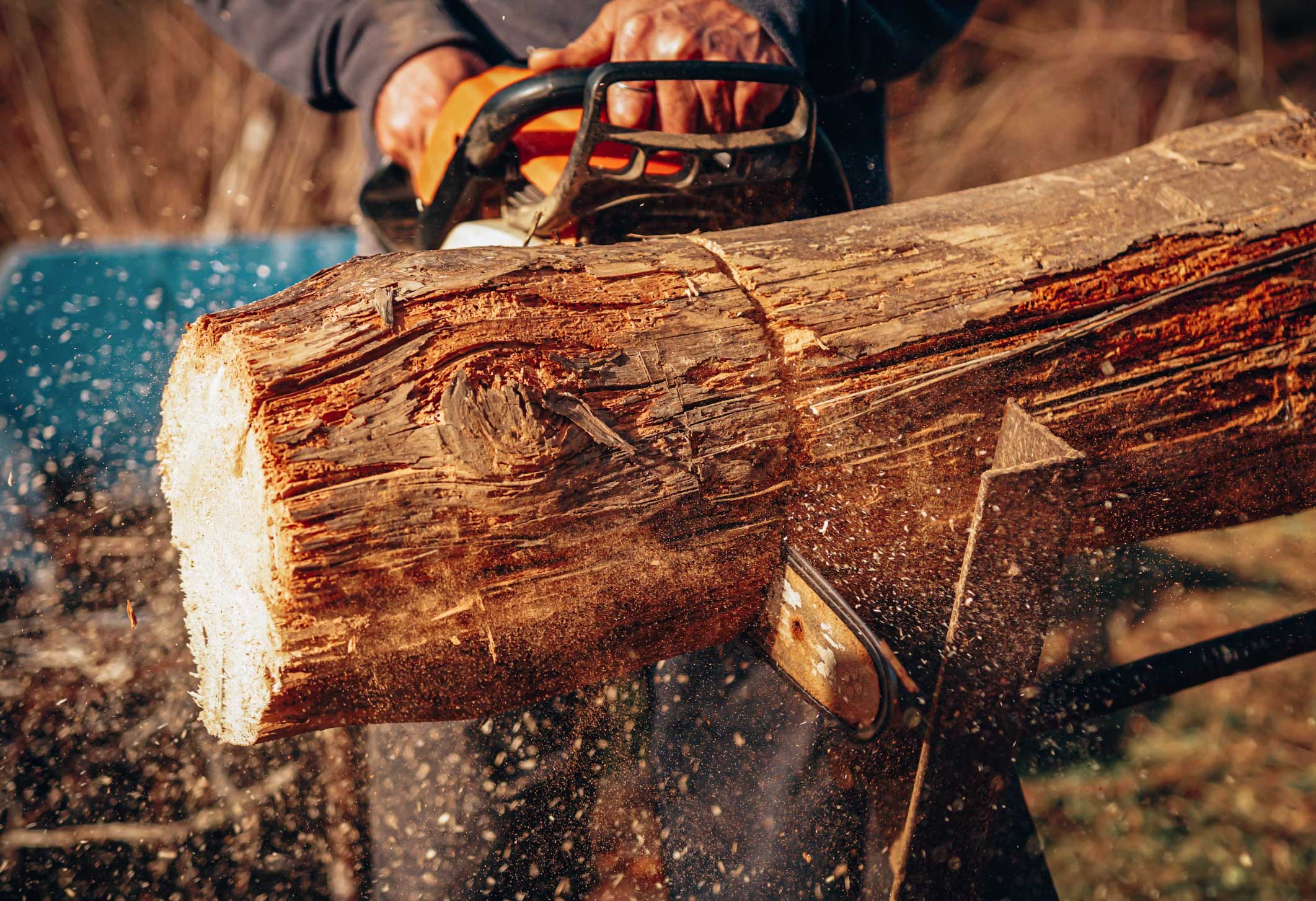 Бензопили GTM CN58D-CH та CN45D-CH: Потужність і Надійність для Ваших Завдань
